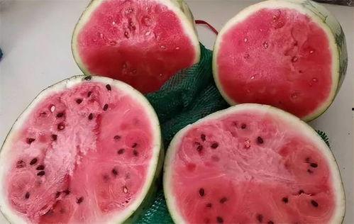 潘姥姥吃麒麟瓜,潘姥姥的麒麟瓜奇遇记