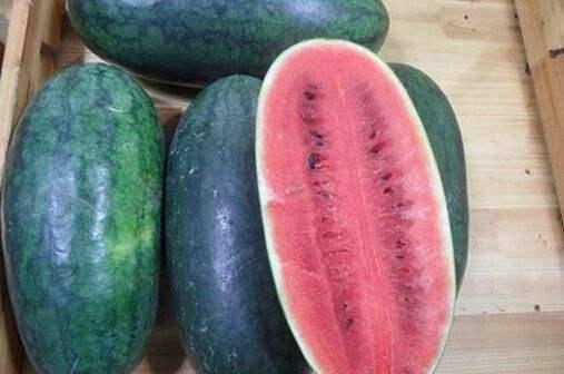 山东曹县51吃瓜吃瓜入口,一场全民参与的“瓜界盛宴”