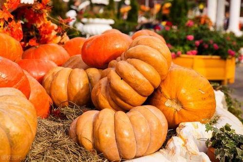 秋吃瓜药不抓,吃瓜药不抓，健康生活新主张