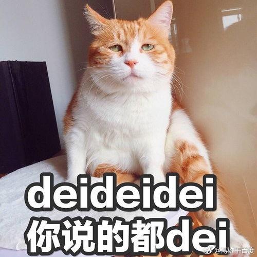 网络吃瓜感想,揭秘虚拟世界的“瓜田”盛景