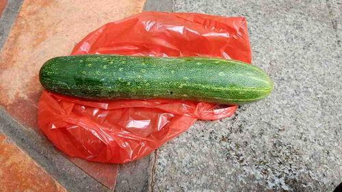 不定时的吃瓜,跟随不定时瓜果潮流