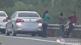 看灯猜车吃瓜群众视频,吃瓜群众欢乐多