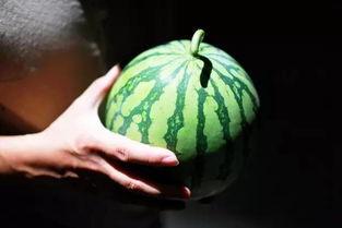 温岭小城吃瓜,一场别开生面的“吃瓜”盛宴