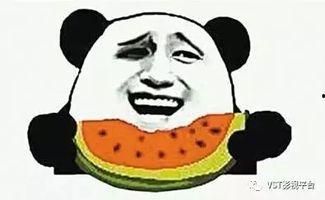 吃瓜群众吃大瓜作品分析,大瓜作品深度解析