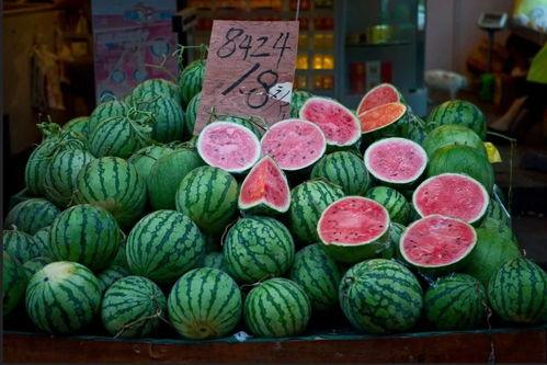 上海吃瓜的大胖,揭秘沪上美食界的“重量级”人物