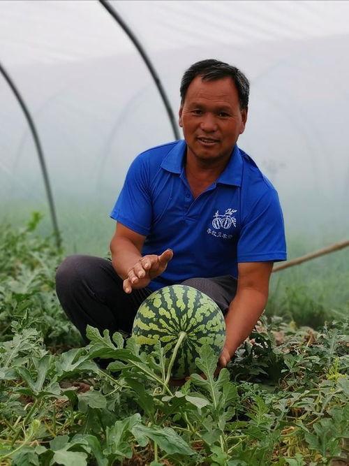 河南新事件吃瓜,吃瓜群众揭秘幕后真相