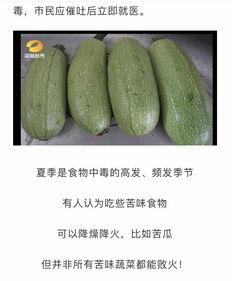 吃贡菜再吃瓜苦,味蕾上的双重体验