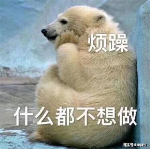 真是吃瓜群众图片搞笑,笑料百出，欢乐无限