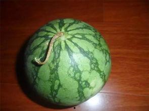 吃瓜也要挑着吃