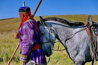 乌珠穆沁吃瓜,一场别开生面的吃瓜狂欢