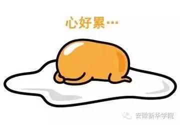 吃瓜被骗100,网络陷阱下的警示与反思