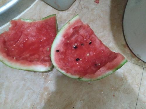 新疆疫情吃瓜,吃瓜群众视角下的防疫战记