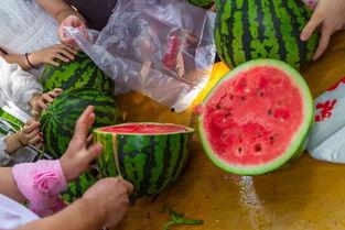 西南官话吃瓜视频,带你领略方言魅力